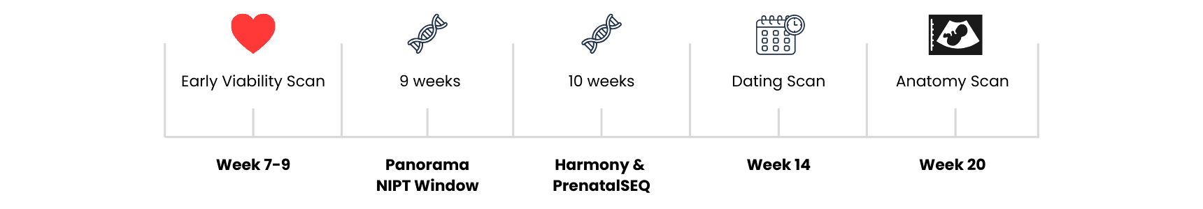 Pregnancy timeline with NIPT milestones