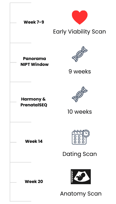 Pregnancy timeline with NIPT milestones