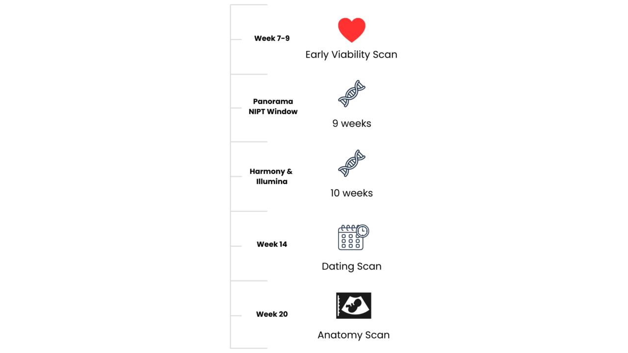 NIPT Pregnancy Due Date Calculator Timeline