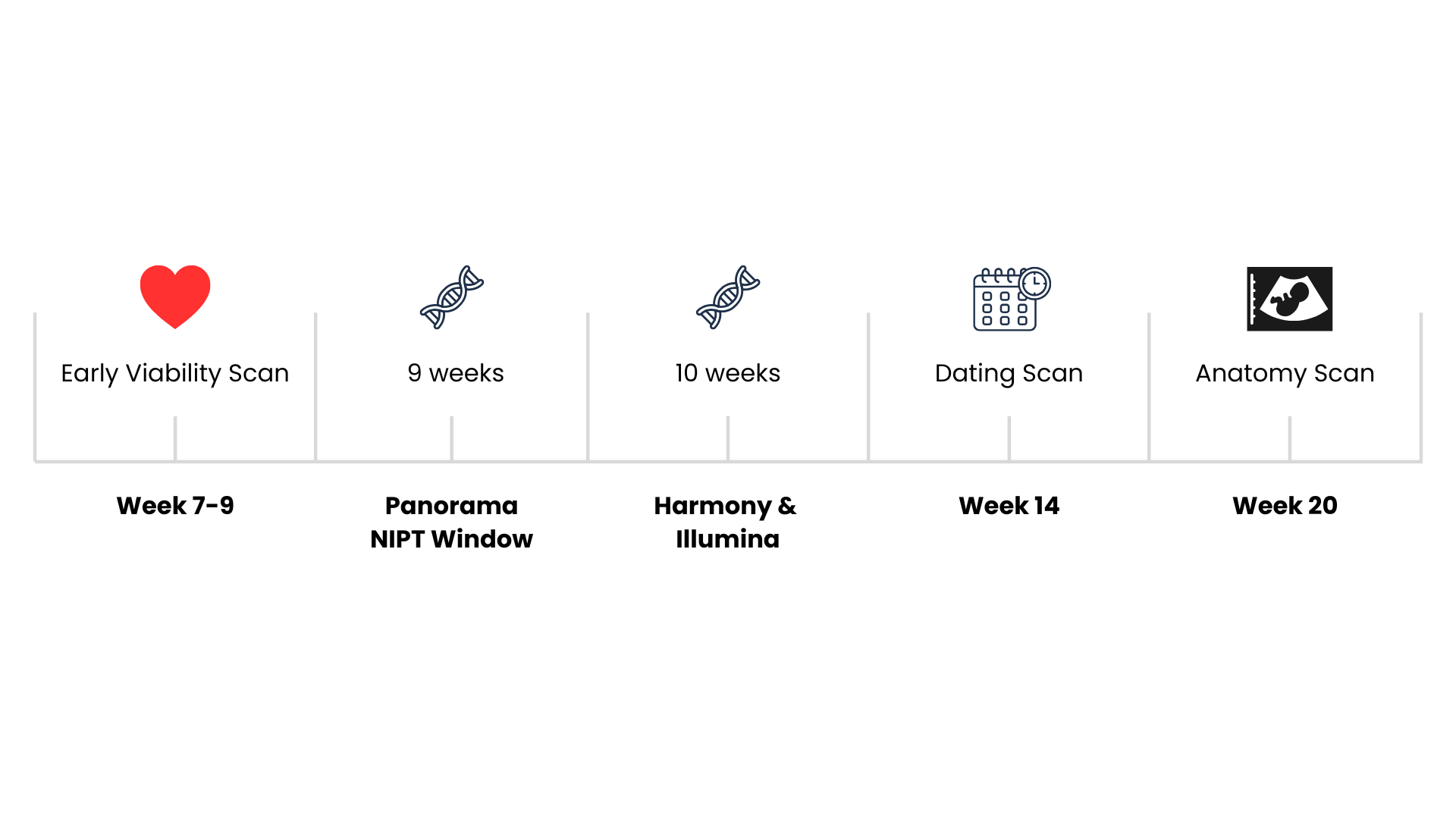 NIPT Pregnancy Due Date Calculator Timeline
